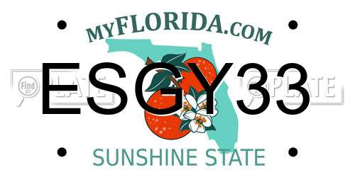 ESGY33 Florida License Plate
