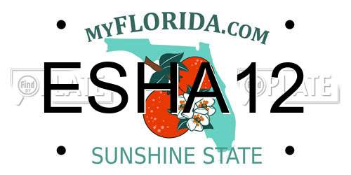 ESHA12 Florida License Plate