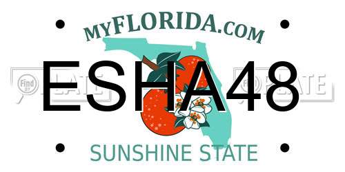 ESHA48 Florida License Plate