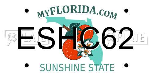 ESHC62 Florida License Plate