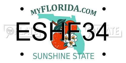 ESHF34 Florida License Plate
