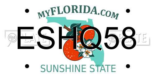 ESHQ58 Florida License Plate