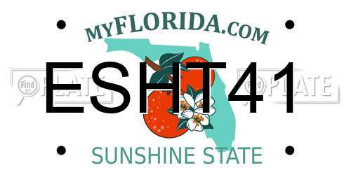 ESHT41 Florida License Plate