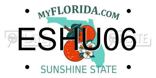 ESHU06 Florida License Plate