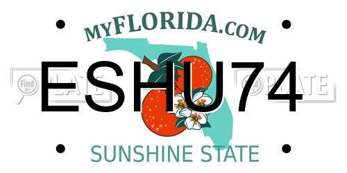 ESHU74 Florida License Plate