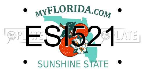 ESI521 Florida License Plate