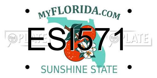 ESI571 Florida License Plate
