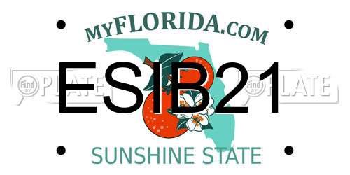 ESIB21 Florida License Plate