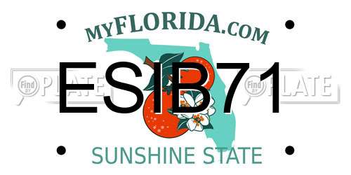 ESIB71 Florida License Plate