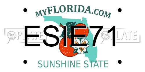 ESIE71 Florida License Plate