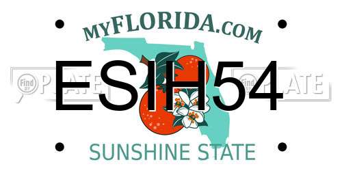 ESIH54 Florida License Plate