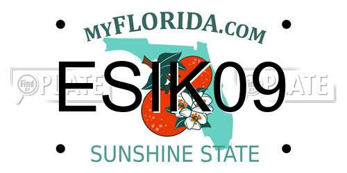 ESIK09 Florida License Plate
