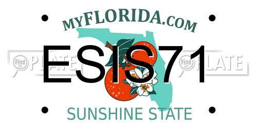 ESIS71 Florida License Plate