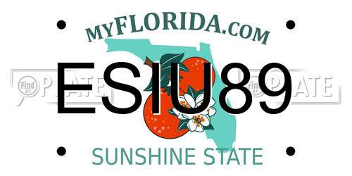 ESIU89 Florida License Plate
