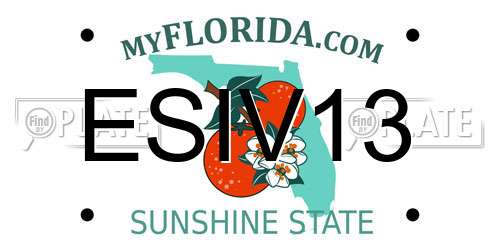 ESIV13 Florida License Plate