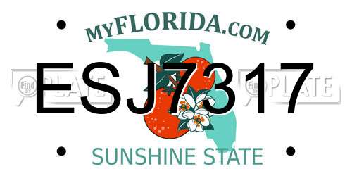 ESJ7317 Florida License Plate