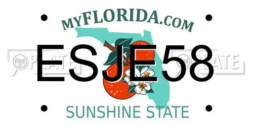 ESJE58 Florida License Plate