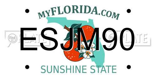 ESJM90 Florida License Plate