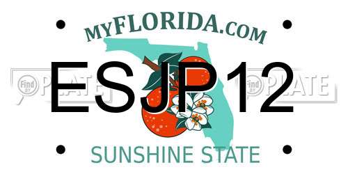 ESJP12 Florida License Plate