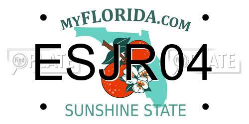 ESJR04 Florida License Plate
