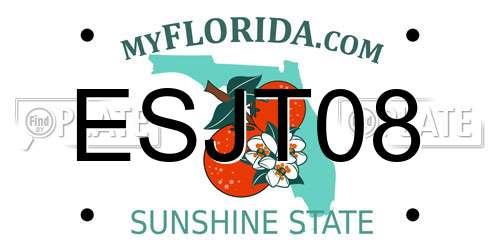 ESJT08 Florida License Plate