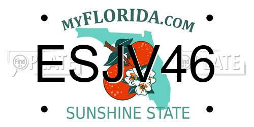 ESJV46 Florida License Plate