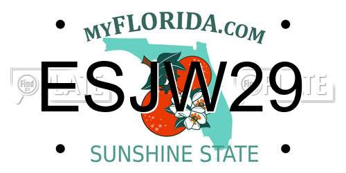 ESJW29 Florida License Plate