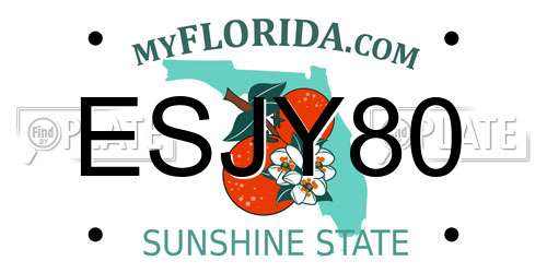 ESJY80 Florida License Plate
