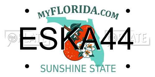 ESKA44 Florida License Plate