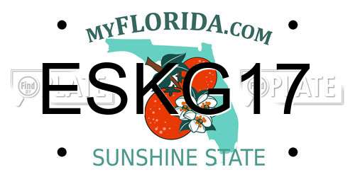 ESKG17 Florida License Plate