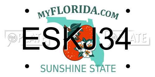ESKJ34 Florida License Plate