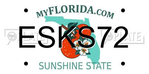 ESKS72 Florida License Plate