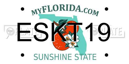 ESKT19 Florida License Plate