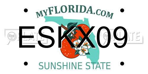 ESKX09 Florida License Plate