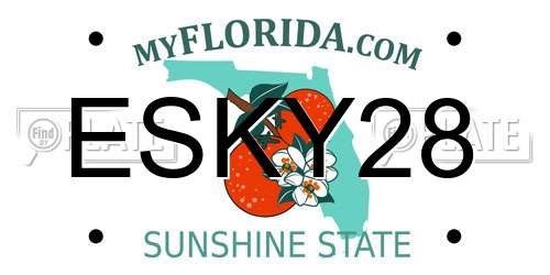 ESKY28 Florida License Plate