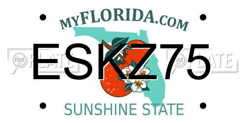 ESKZ75 Florida License Plate