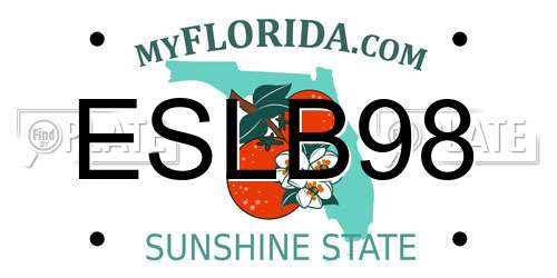 ESLB98 Florida License Plate