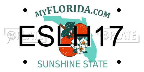 ESLH17 Florida License Plate