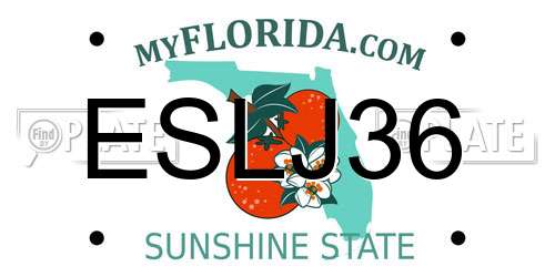 ESLJ36 Florida License Plate