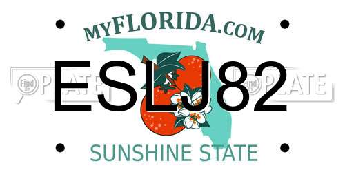 ESLJ82 Florida License Plate