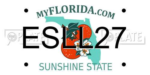 ESLL27 Florida License Plate