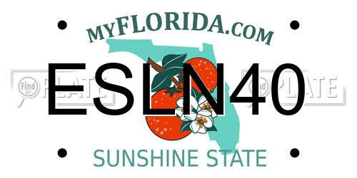 ESLN40 Florida License Plate