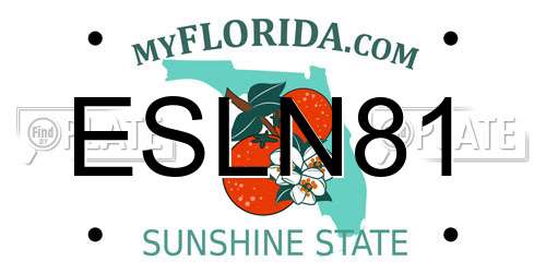 ESLN81 Florida License Plate