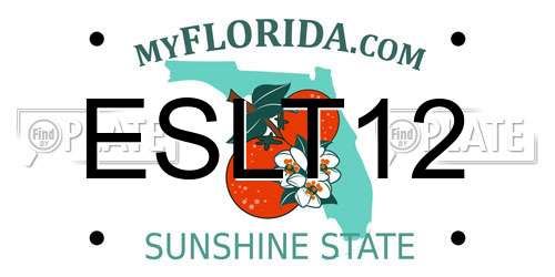ESLT12 Florida License Plate