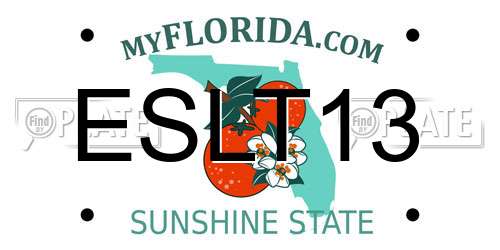 ESLT13 Florida License Plate