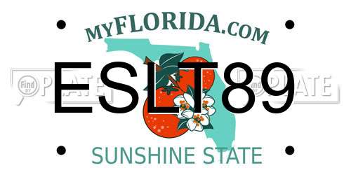 ESLT89 Florida License Plate