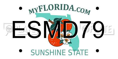 ESMD79 Florida License Plate