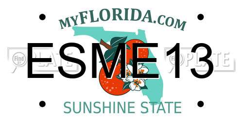 ESME13 Florida License Plate
