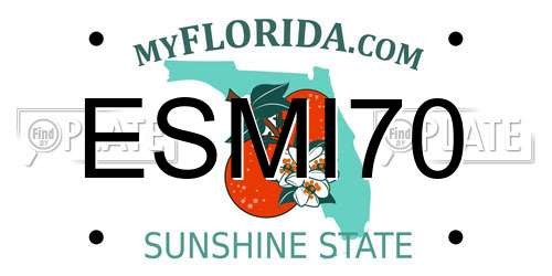 ESMI70 Florida License Plate