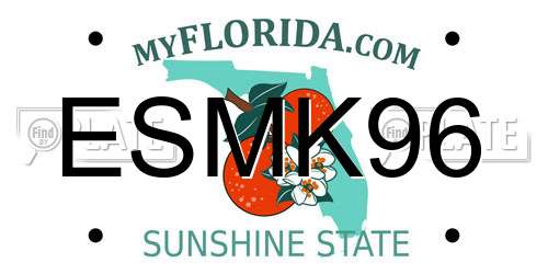 ESMK96 Florida License Plate